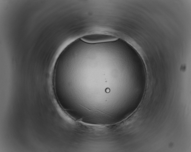 X0000101211152200807071332