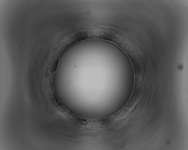 X0000101211153200807071332