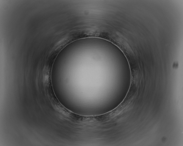 X0000101211154200807071332