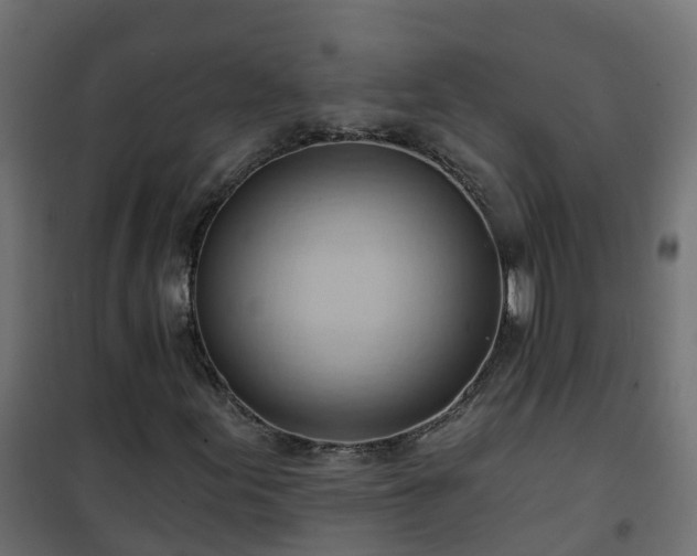 X0000101211155200807071332