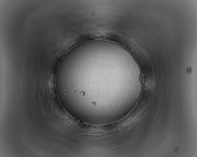 X0000101211156200807071332