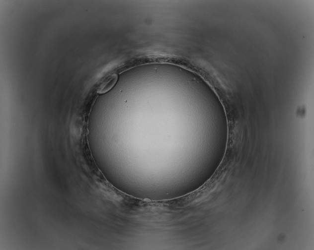 X0000101211157200807071332