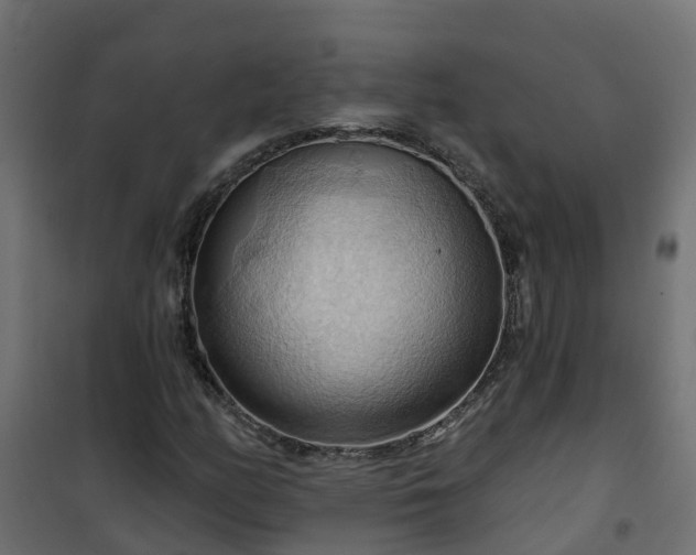 X0000101211158200807071332