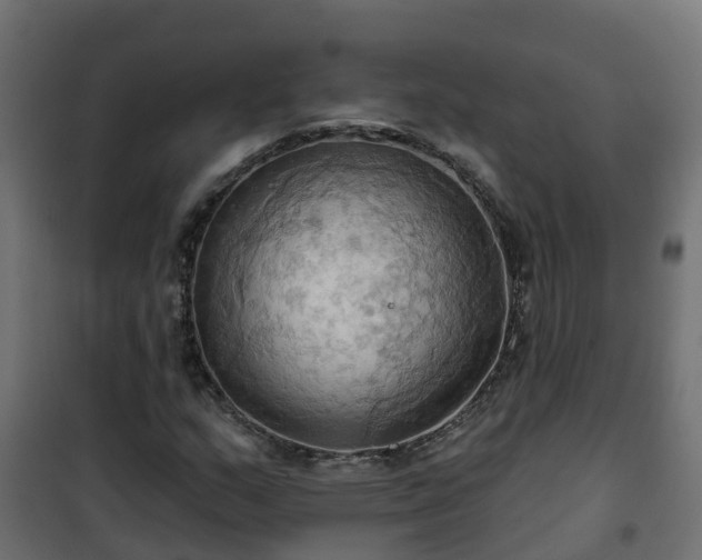 X0000101211159200807071331