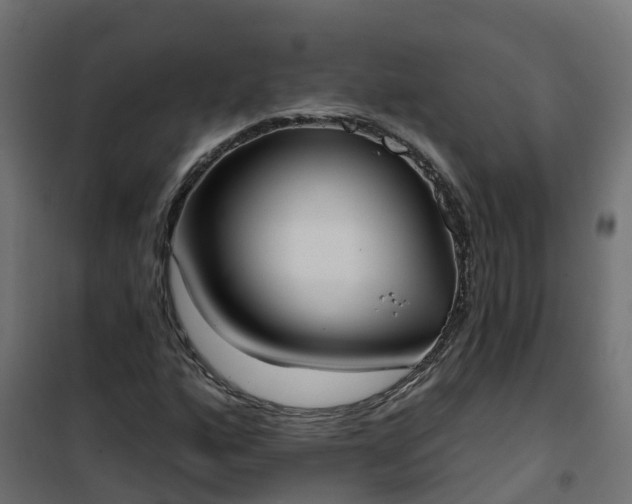 X0000101211160200807071331