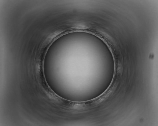 X0000101211161200807071331