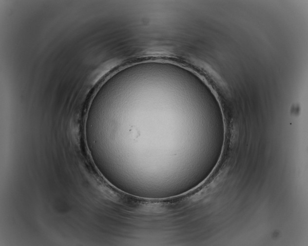 X0000101211162200807071331