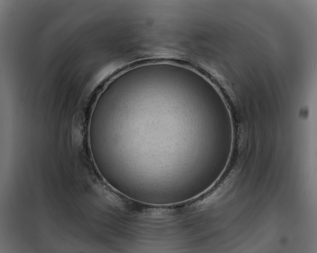 X0000101211163200807071331