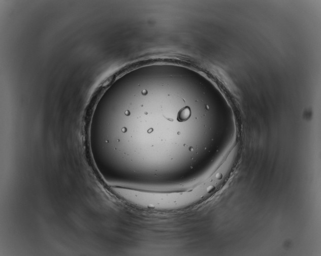 X0000101211164200807071331