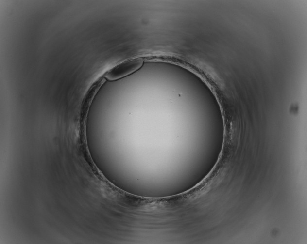 X0000101211165200807071331