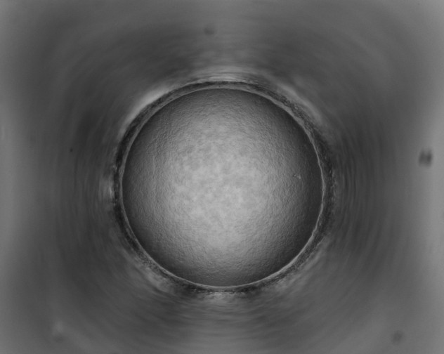 X0000101211166200807071331