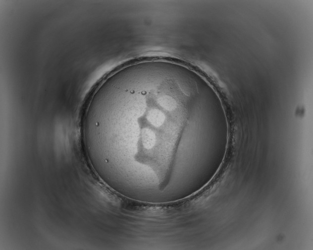 X0000101211167200807071331