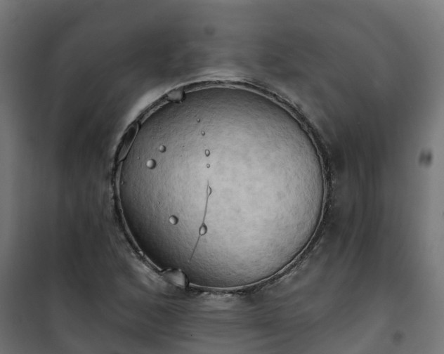 X0000101211168200807071331