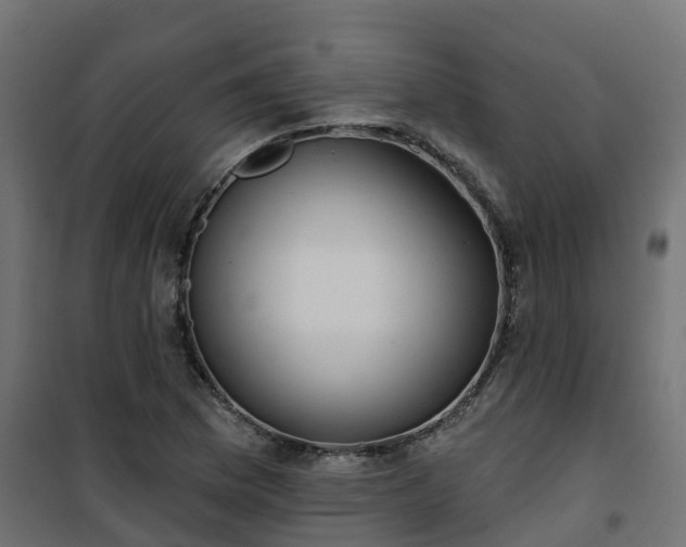 X0000101211169200807071331