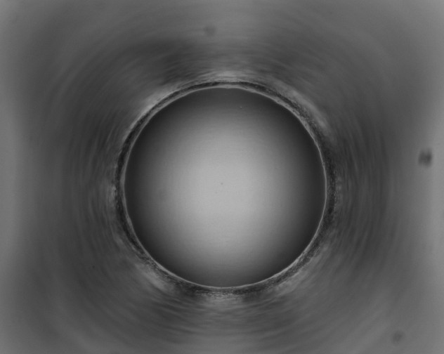 X0000101211170200807071331