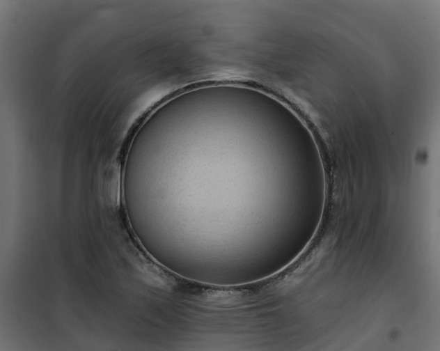 X0000101211171200807071331