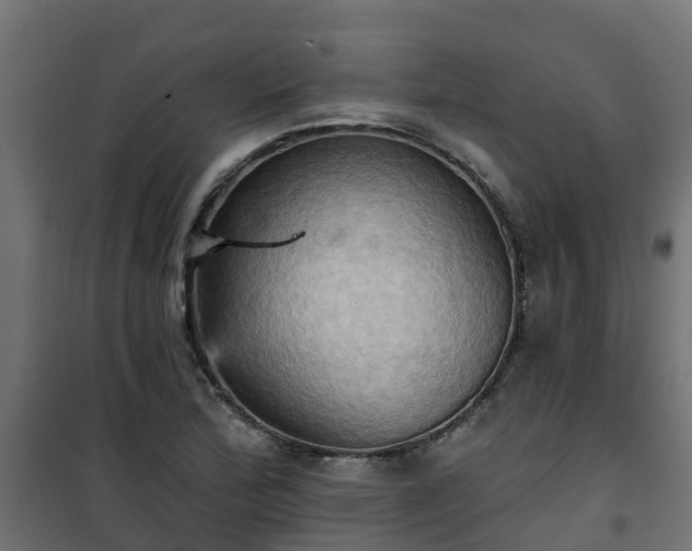 X0000101211172200807071331