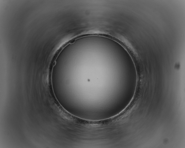 X0000101211173200807071331