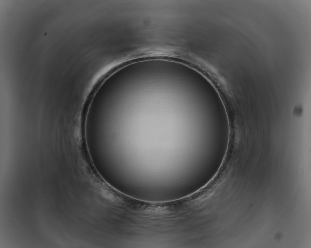 X0000101211174200807071331