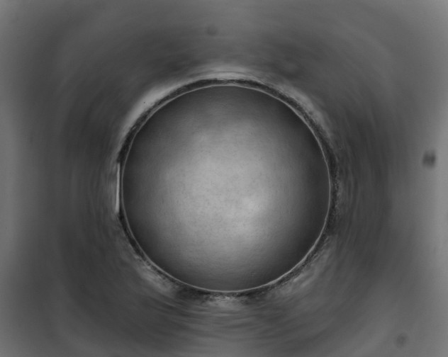 X0000101211175200807071331