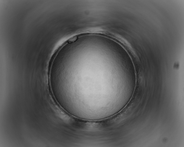 X0000101211176200807071331