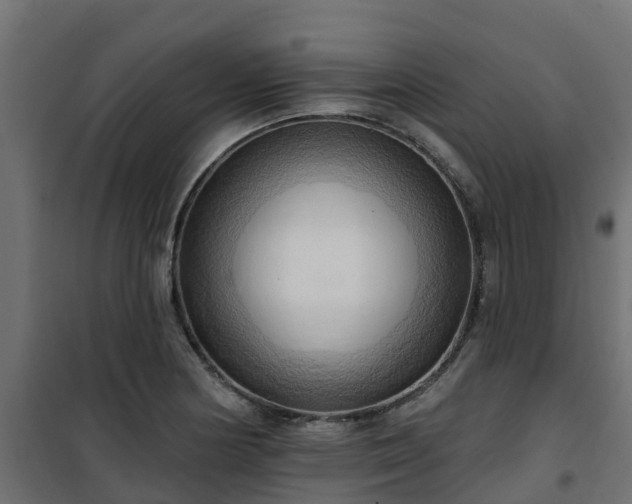 X0000101211178200807071331