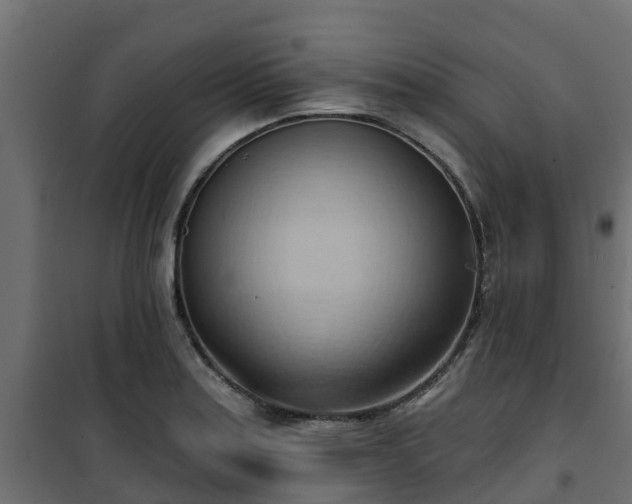 X0000101211179200807071331