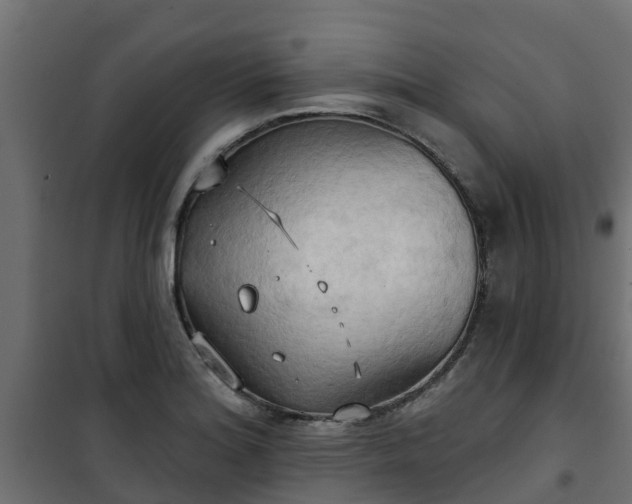 X0000101211180200807071331