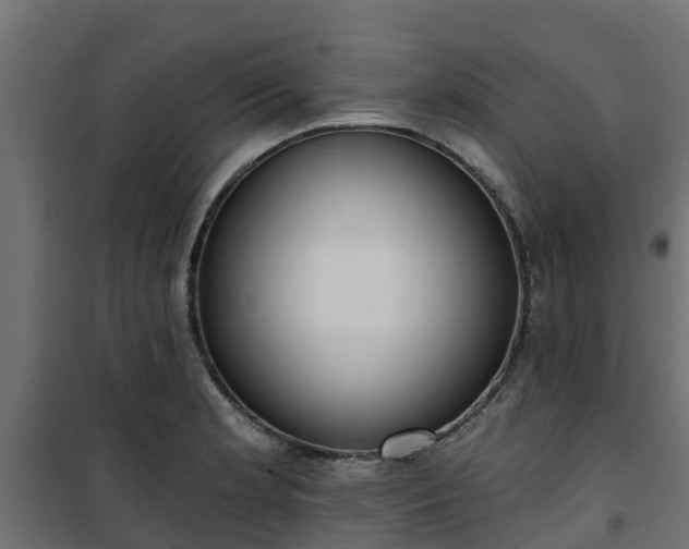 X0000101211181200807071331