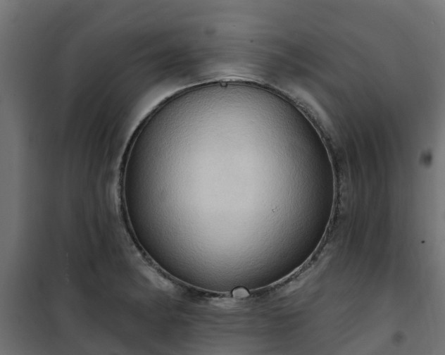 X0000101211182200807071331