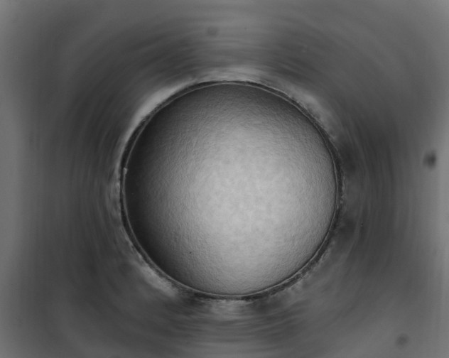 X0000101211184200807071331