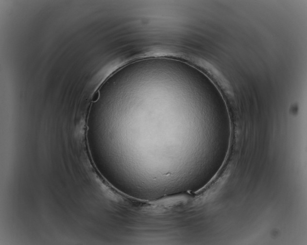 X0000101211185200807071331