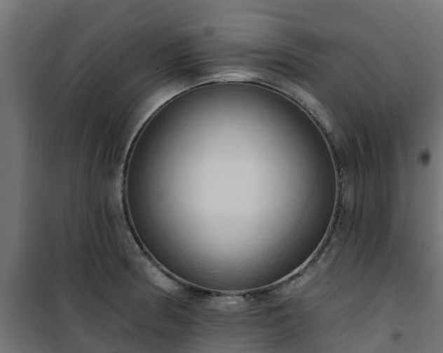 X0000101211186200807071331