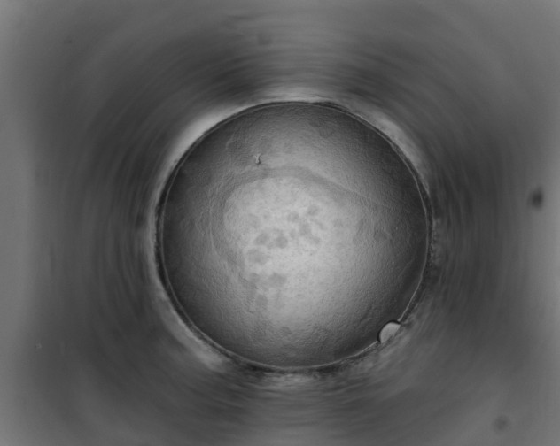 X0000101211187200807071331