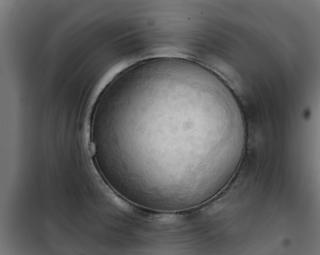 X0000101211188200807071331