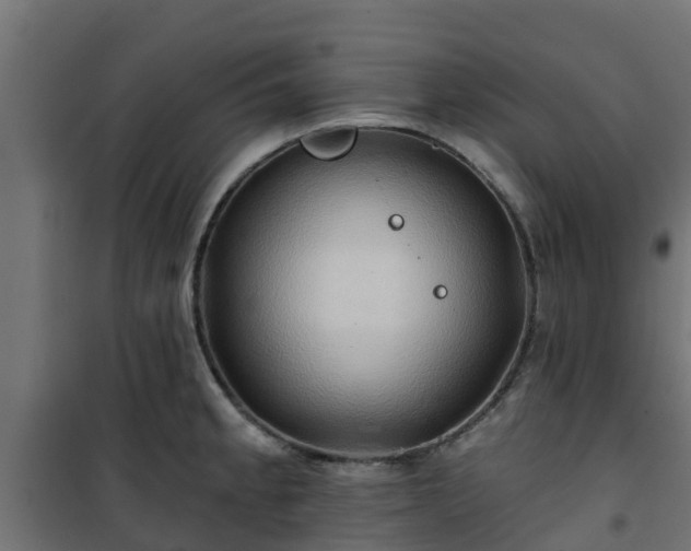 X0000101211189200807071331