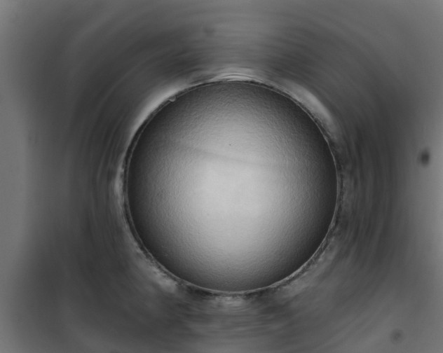 X0000101211190200807071331