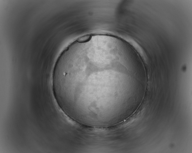 X0000101211191200807071331