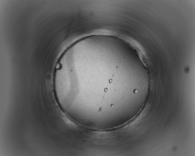 X0000101211192200807071331