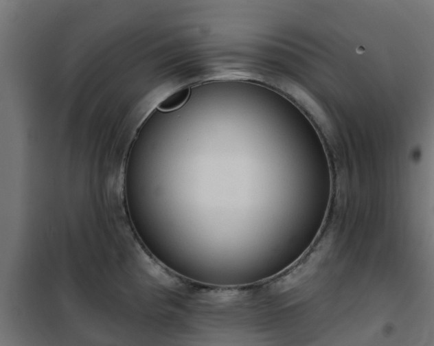 X0000101211193200807071331