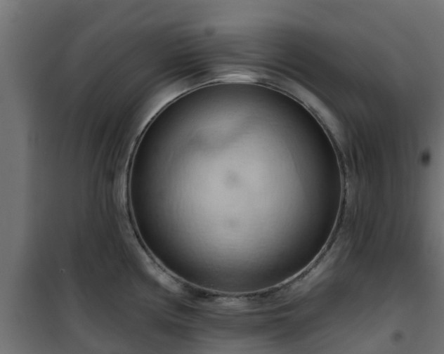 X0000101211194200807071331