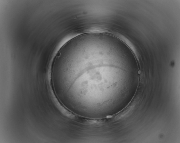 X0000101211195200807071331