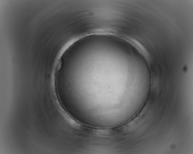 X0000101211196200807071331