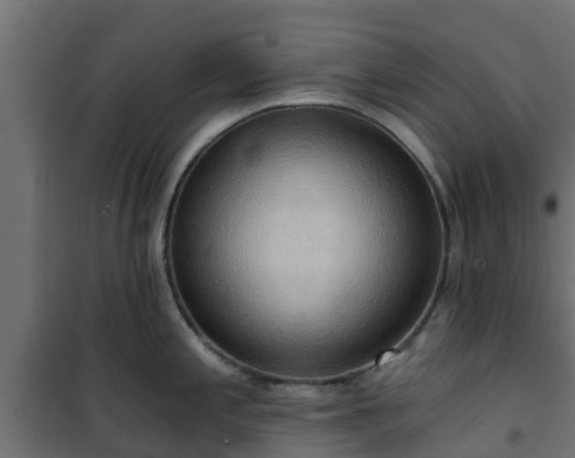 X0000101211197200807071331