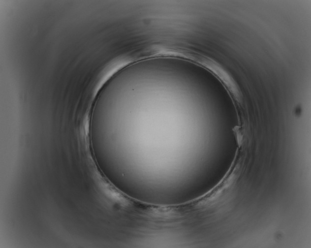 X0000101211198200807071331