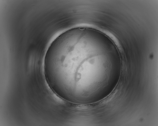 X0000101211199200807071331