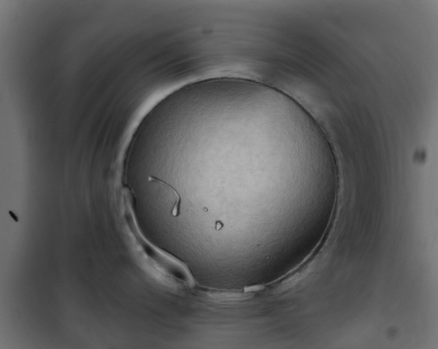 X0000101211200200807071331