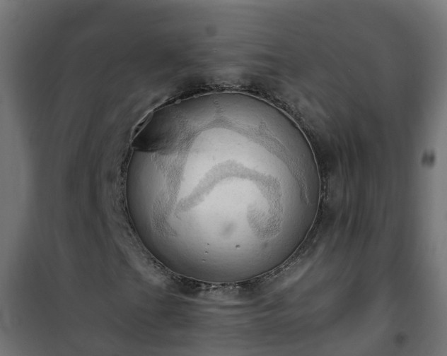 X0000101211201200807071330