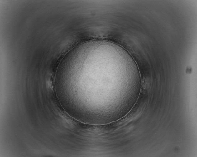 X0000101211202200807071330