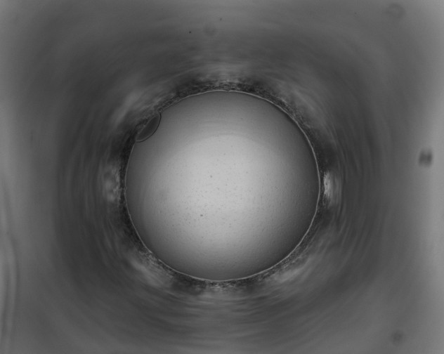 X0000101211203200807071330